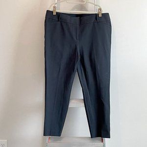COPY - NWOT LOFT Plus Marissa Skinny ankle pants in gray